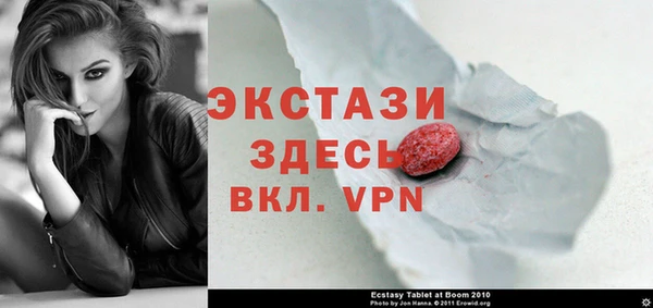 стаф Дмитровск