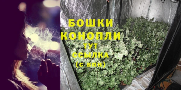 кокаин перу Дмитриев