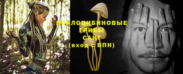 ГАЛЛЮЦИНОГЕННЫЕ ГРИБЫ Дмитров