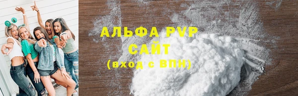 стаф Дмитровск