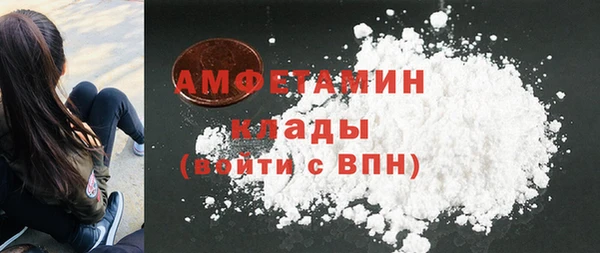стаф Дмитровск