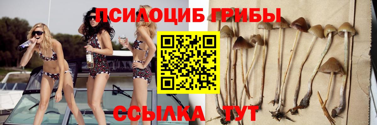 Галлюциногенные грибы прущие грибы  Вход с VPN  даркнет сайт  Соликамск 